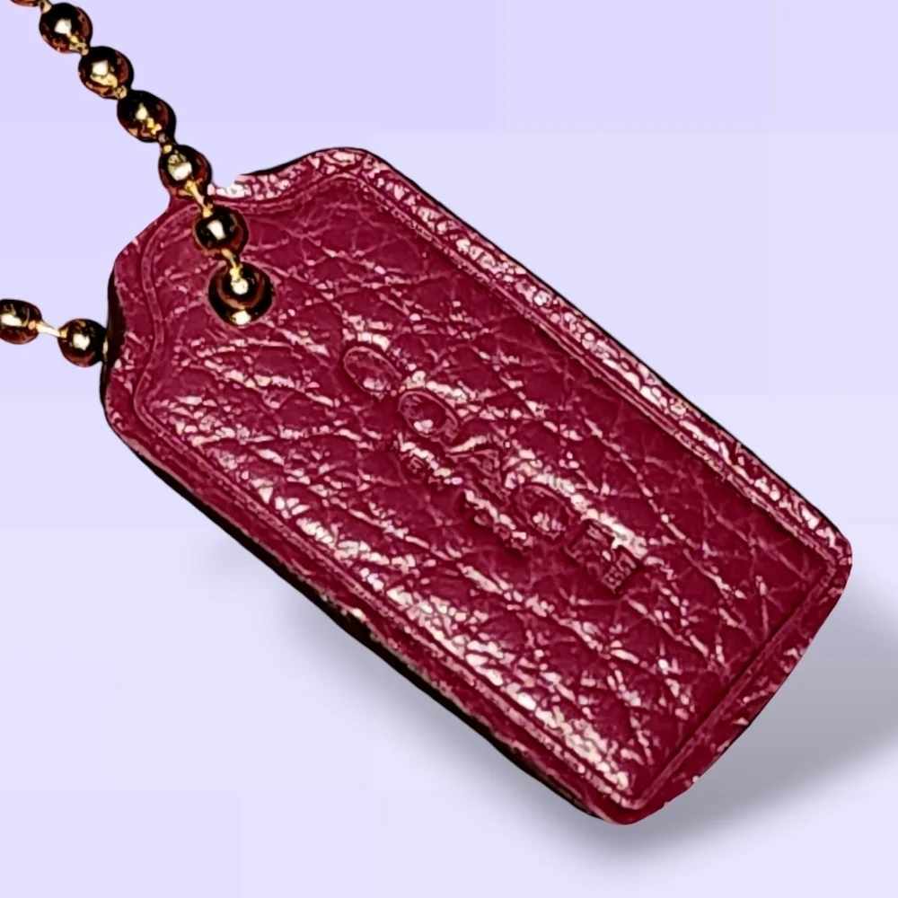 Coach Jes Gallery Pouch
